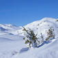 Telemark once again