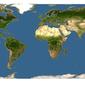 Discover Life: Point Map of Limonia phragmitidis